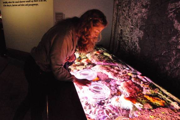 Tanque com lentes de aumento para observar as coloridas e pequenas criaturas marinhas, no Aquário de Monterey, no litoral da Califórnia, nos Estados Unidos